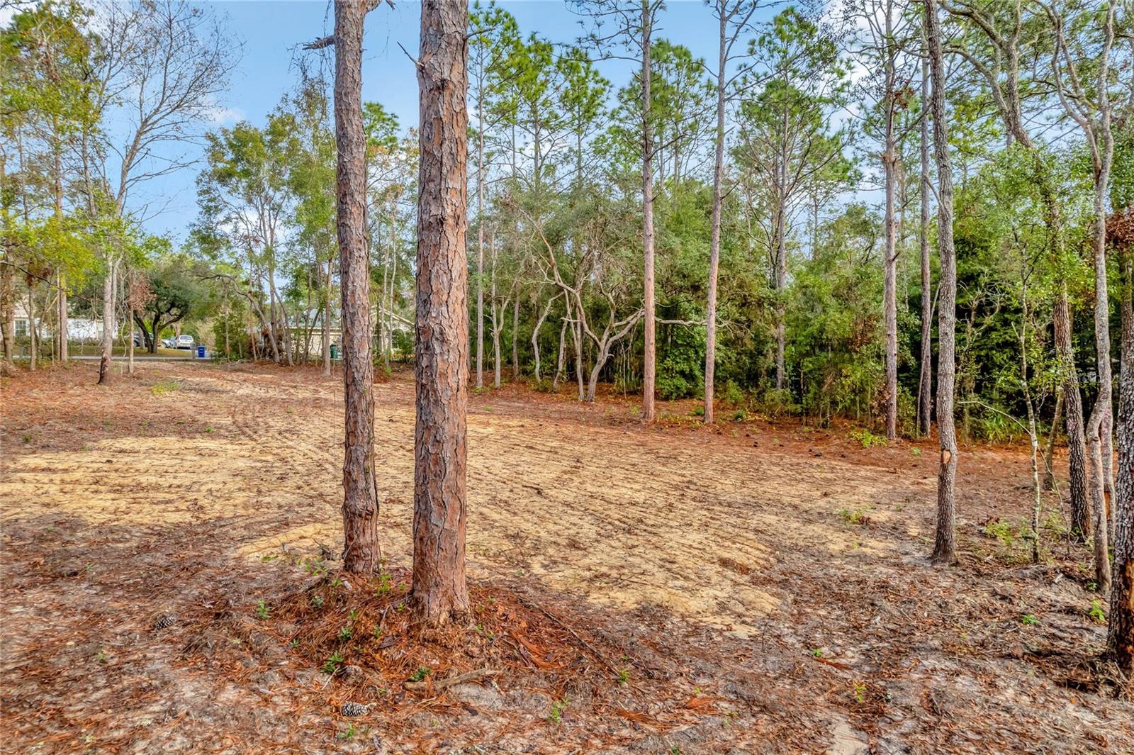CITRUS HILLS - Land