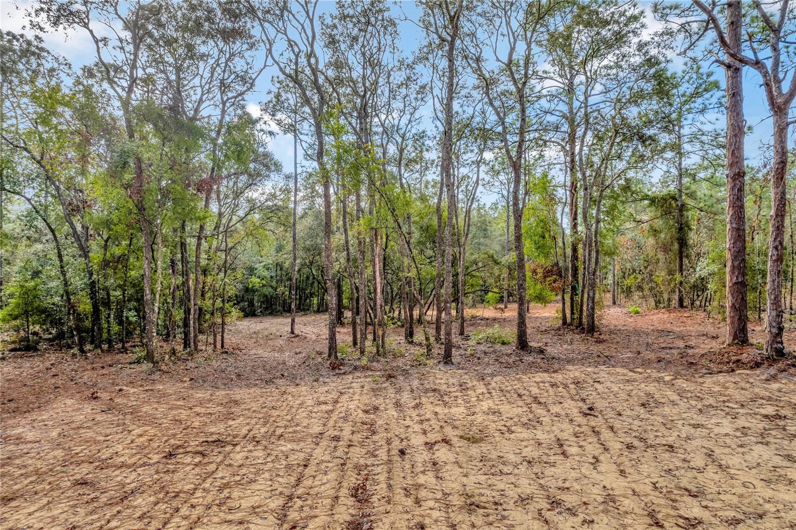 CITRUS HILLS - Land