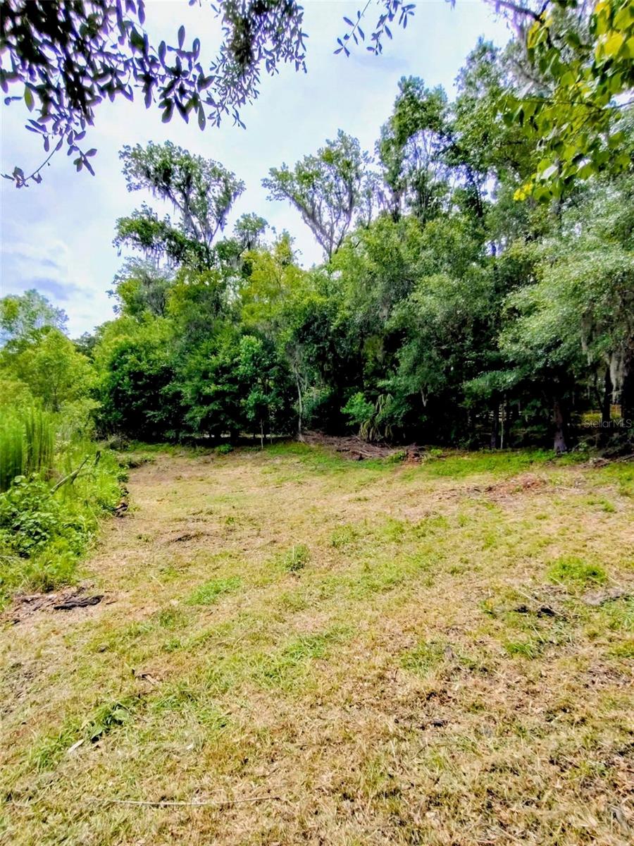 LUDLOW HEIGHTS - Land