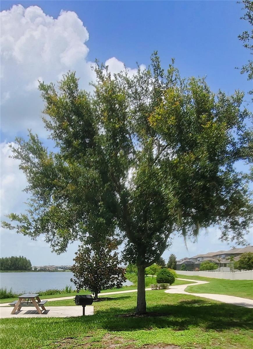 LONG LAKE RANCH VILLAGE 6 PRCL A - Residential