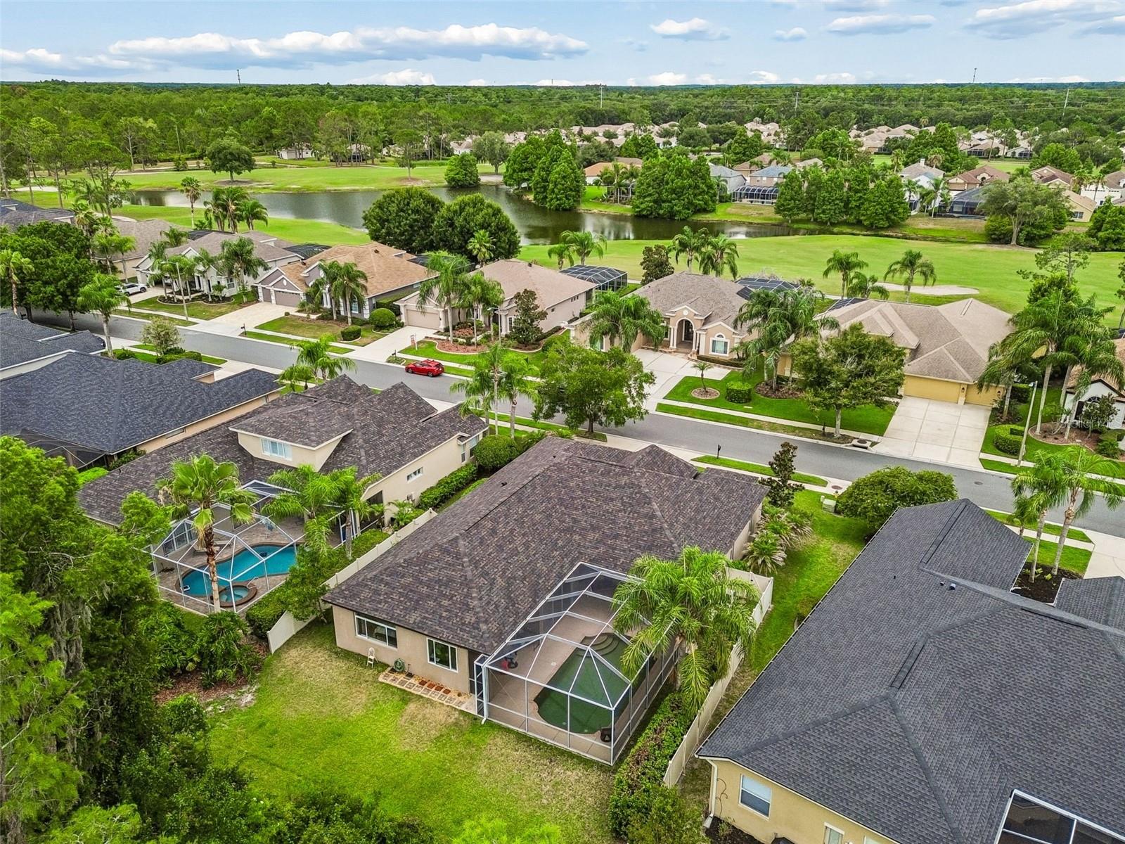 PLANTATION PALMS - Residential