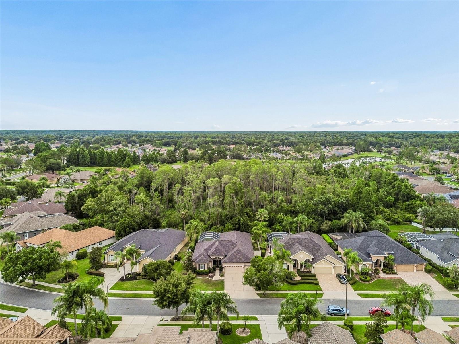 PLANTATION PALMS - Residential