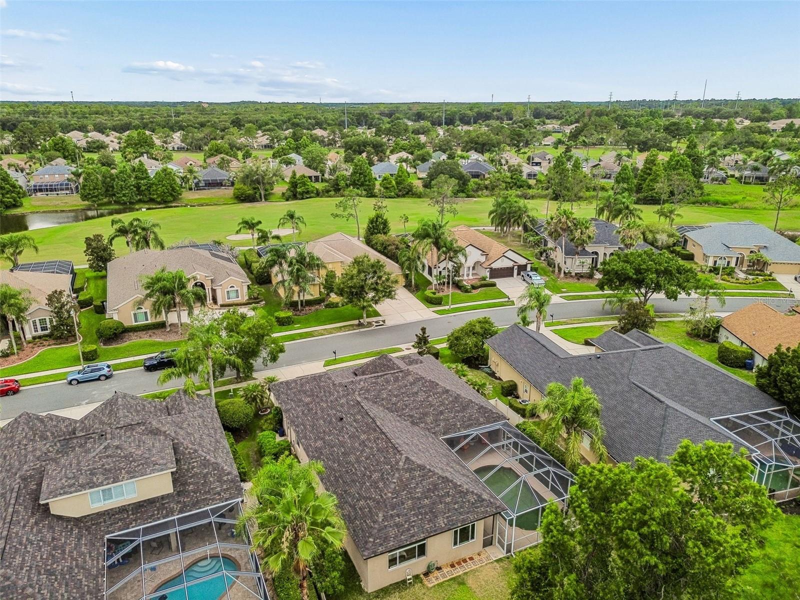 PLANTATION PALMS - Residential