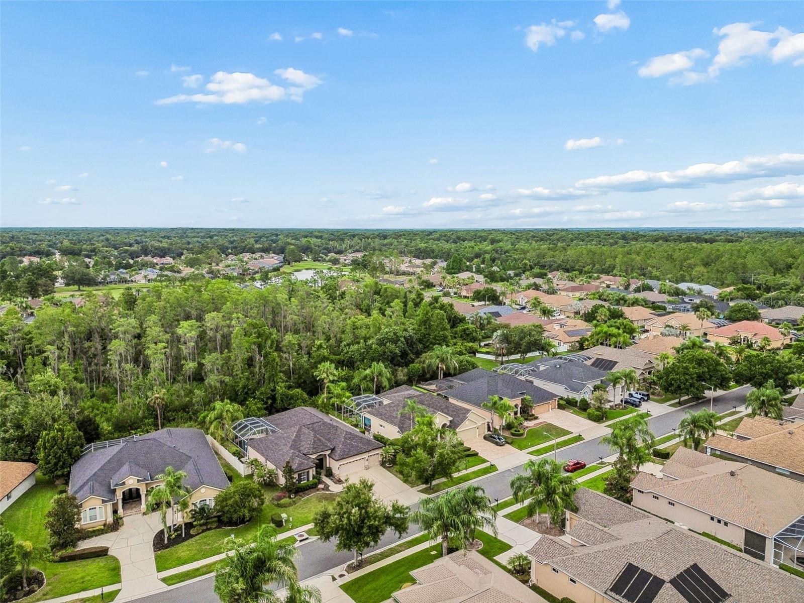 PLANTATION PALMS - Residential