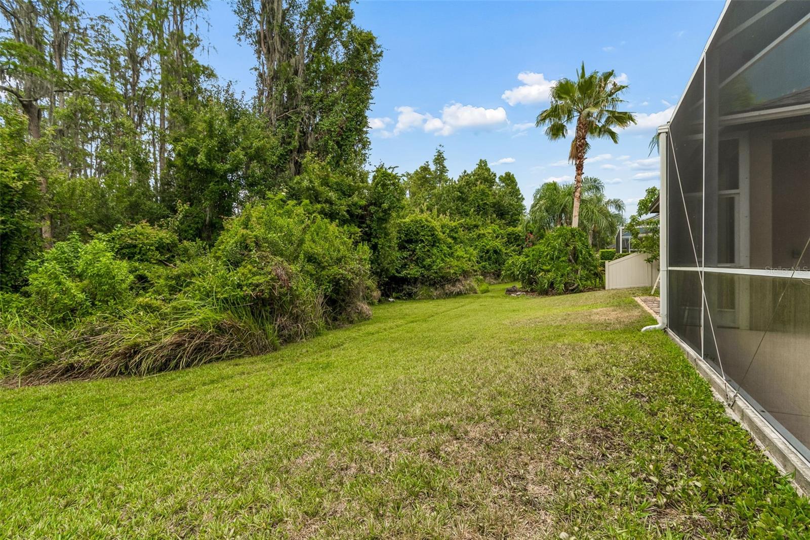 PLANTATION PALMS - Residential