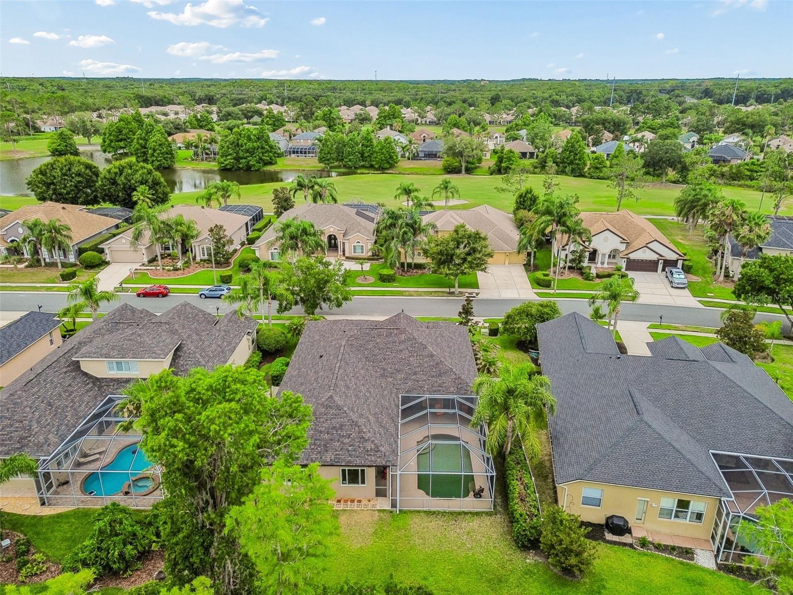PLANTATION PALMS - Residential