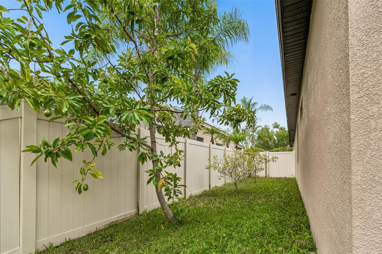 PLANTATION PALMS - Residential
