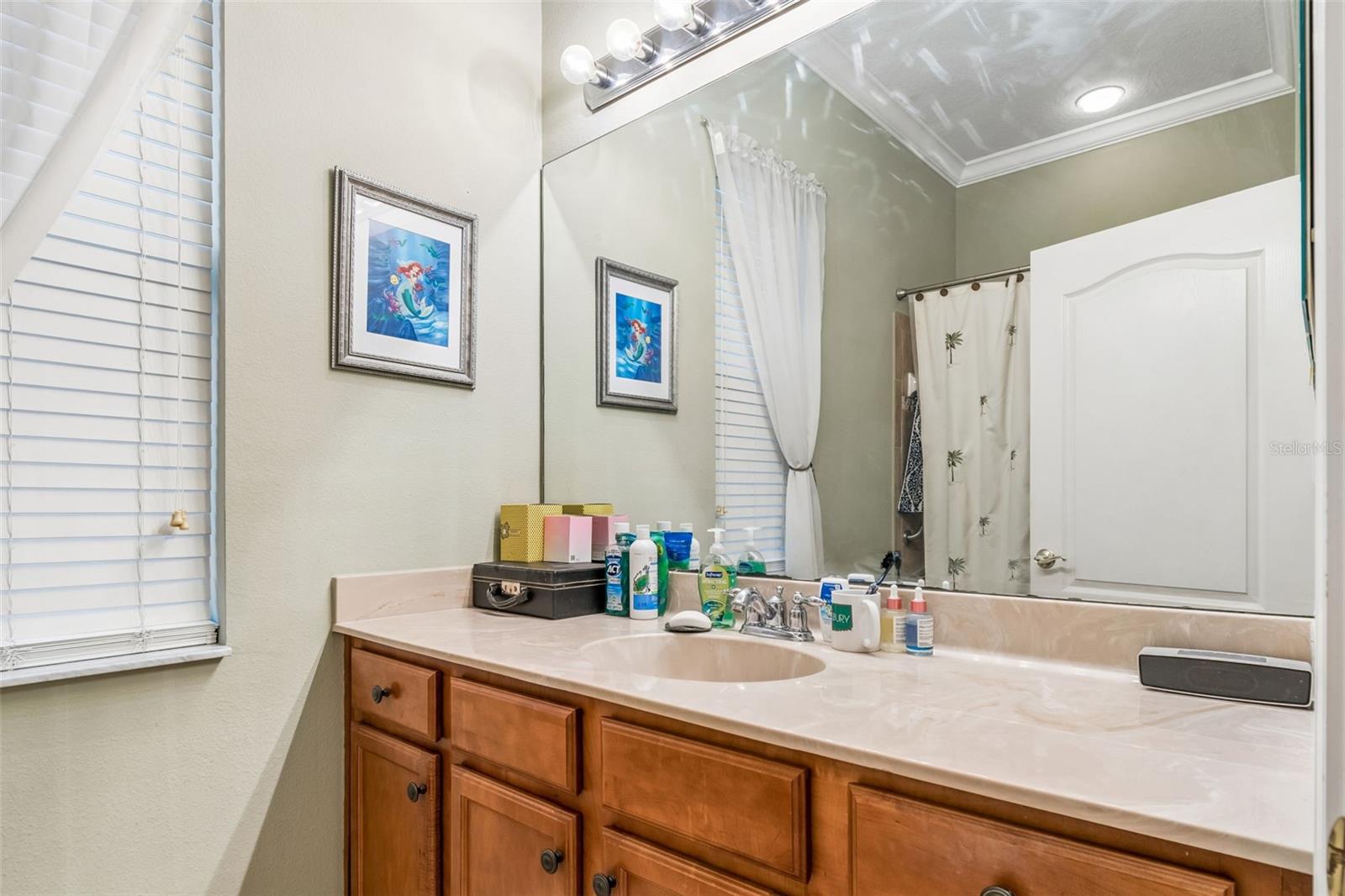 PLANTATION PALMS - Residential
