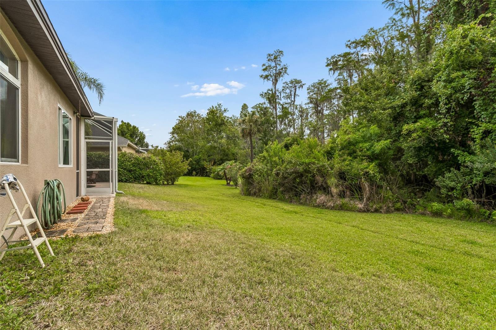 PLANTATION PALMS - Residential