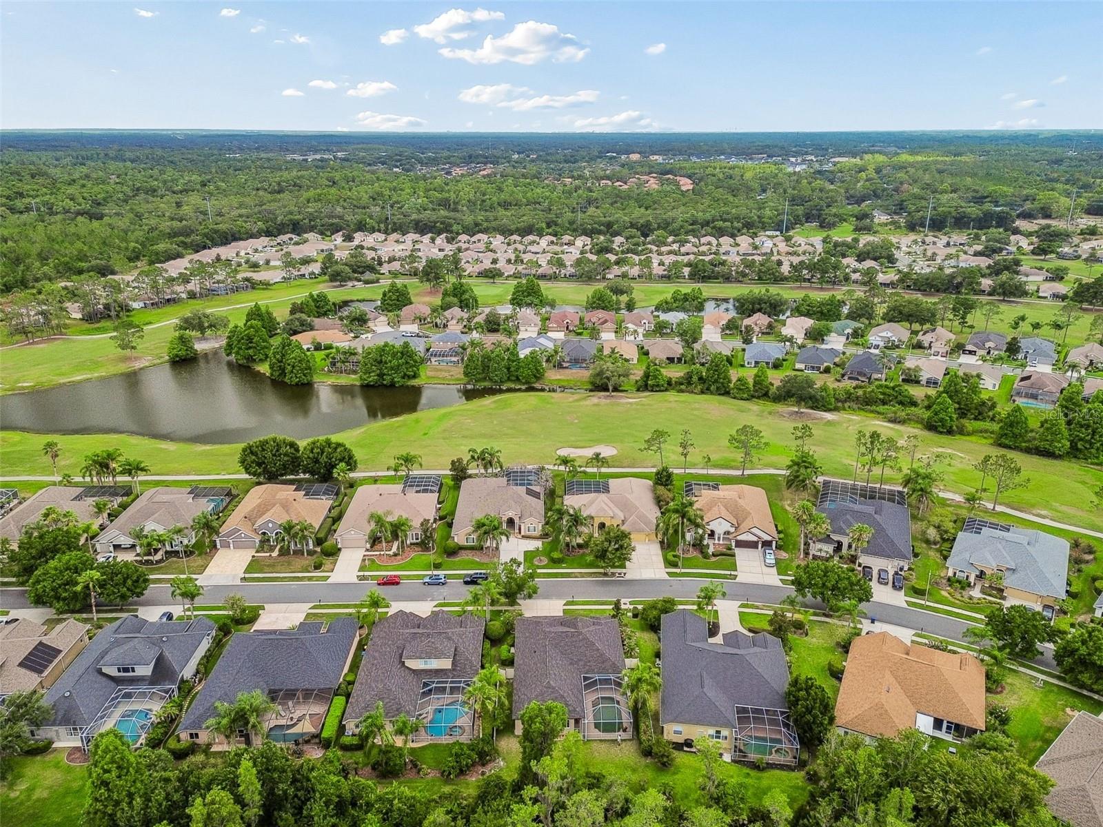PLANTATION PALMS - Residential