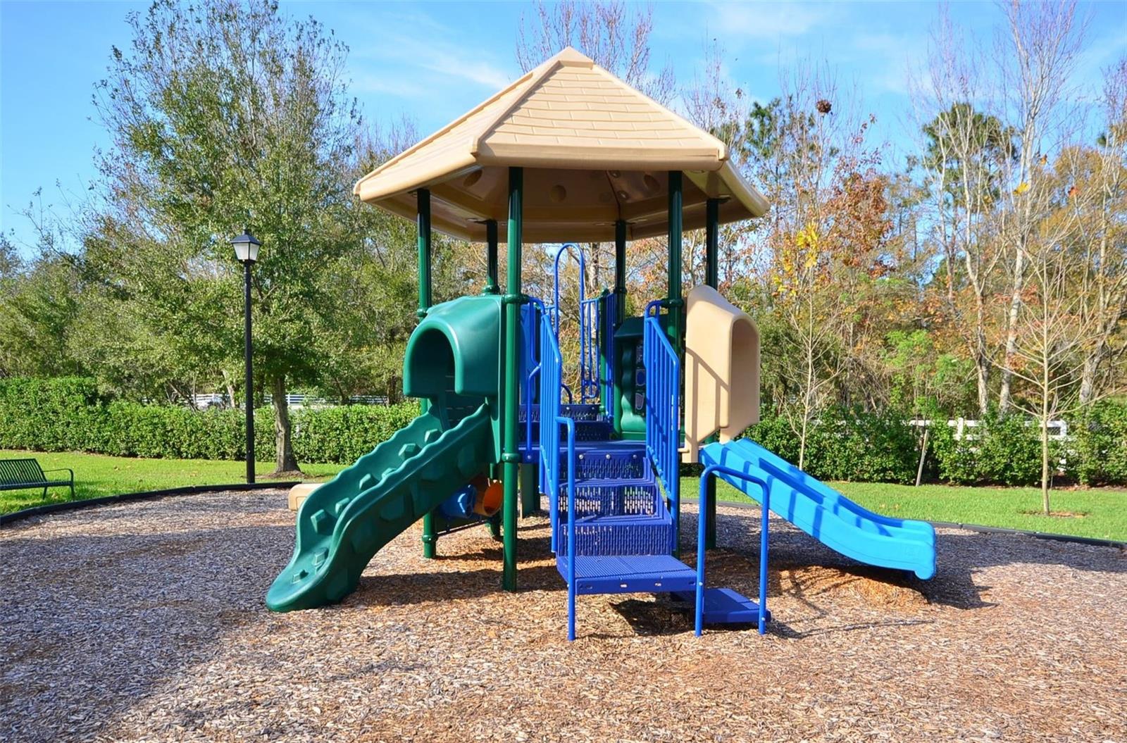 GEORGETOWN AT CELEBRATION - Residential