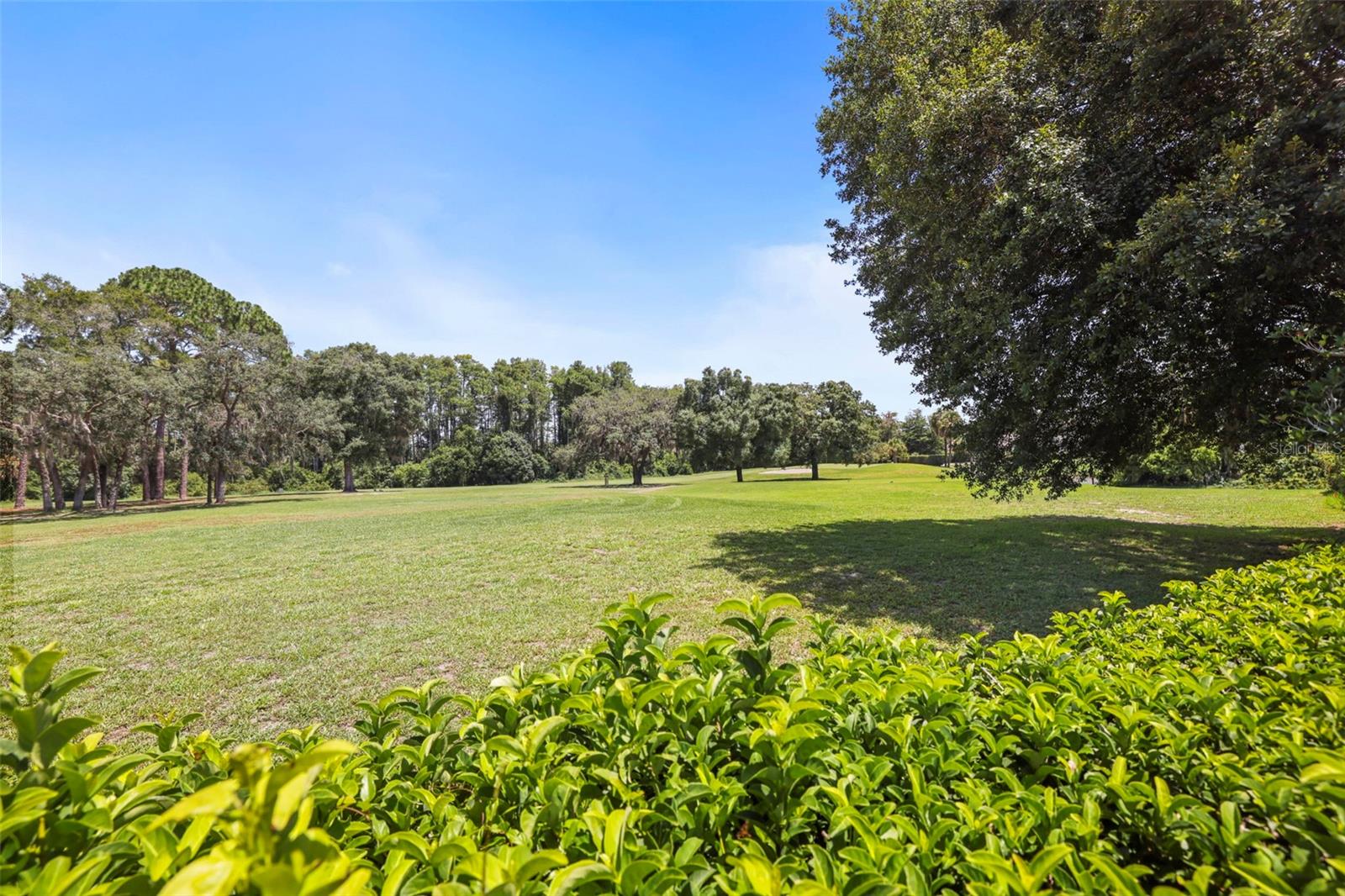 WOOD VIEW AT MEADOW OAKS - Residential