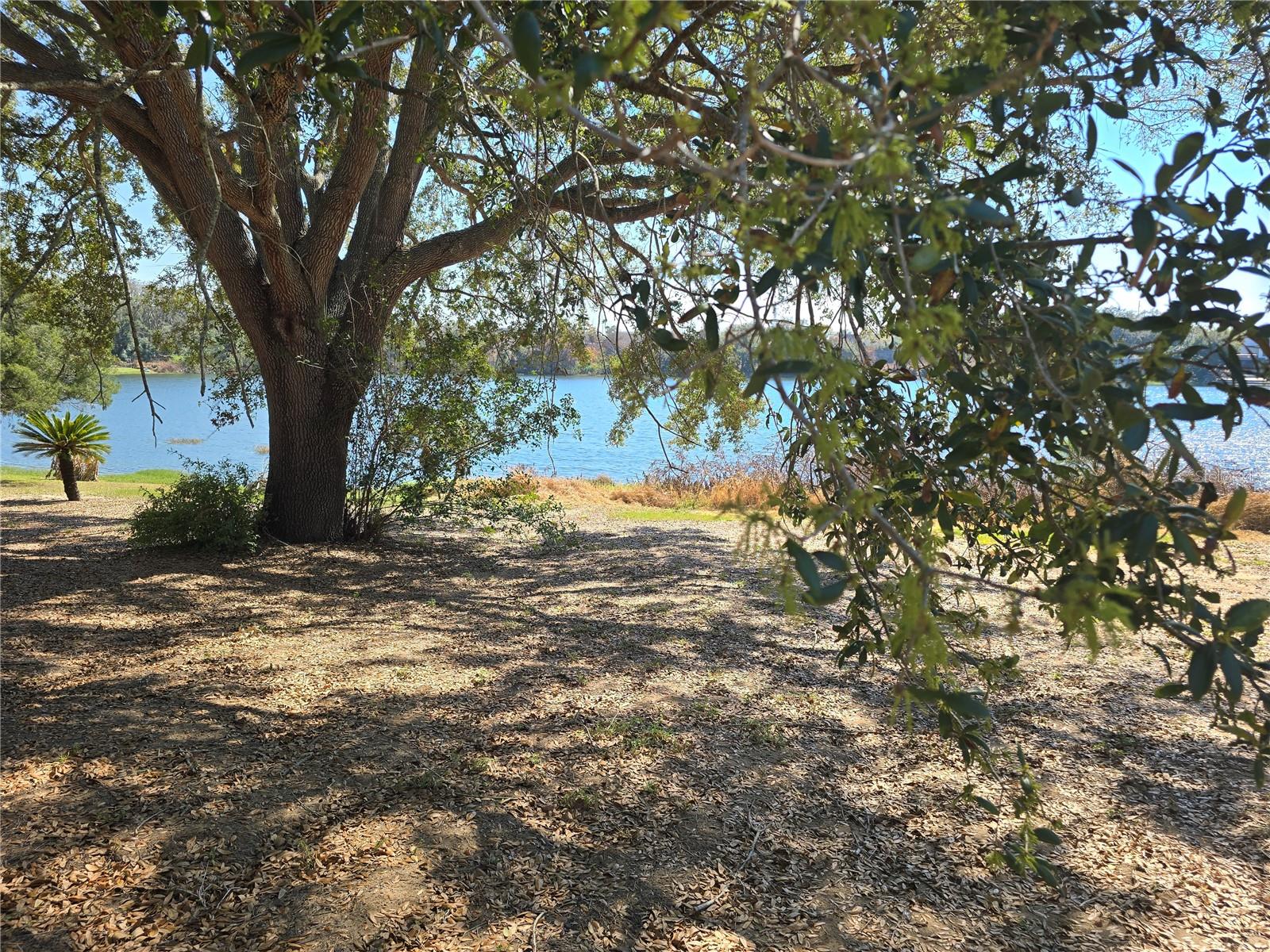 EUSTIS BELMONT HEIGHTS - Land