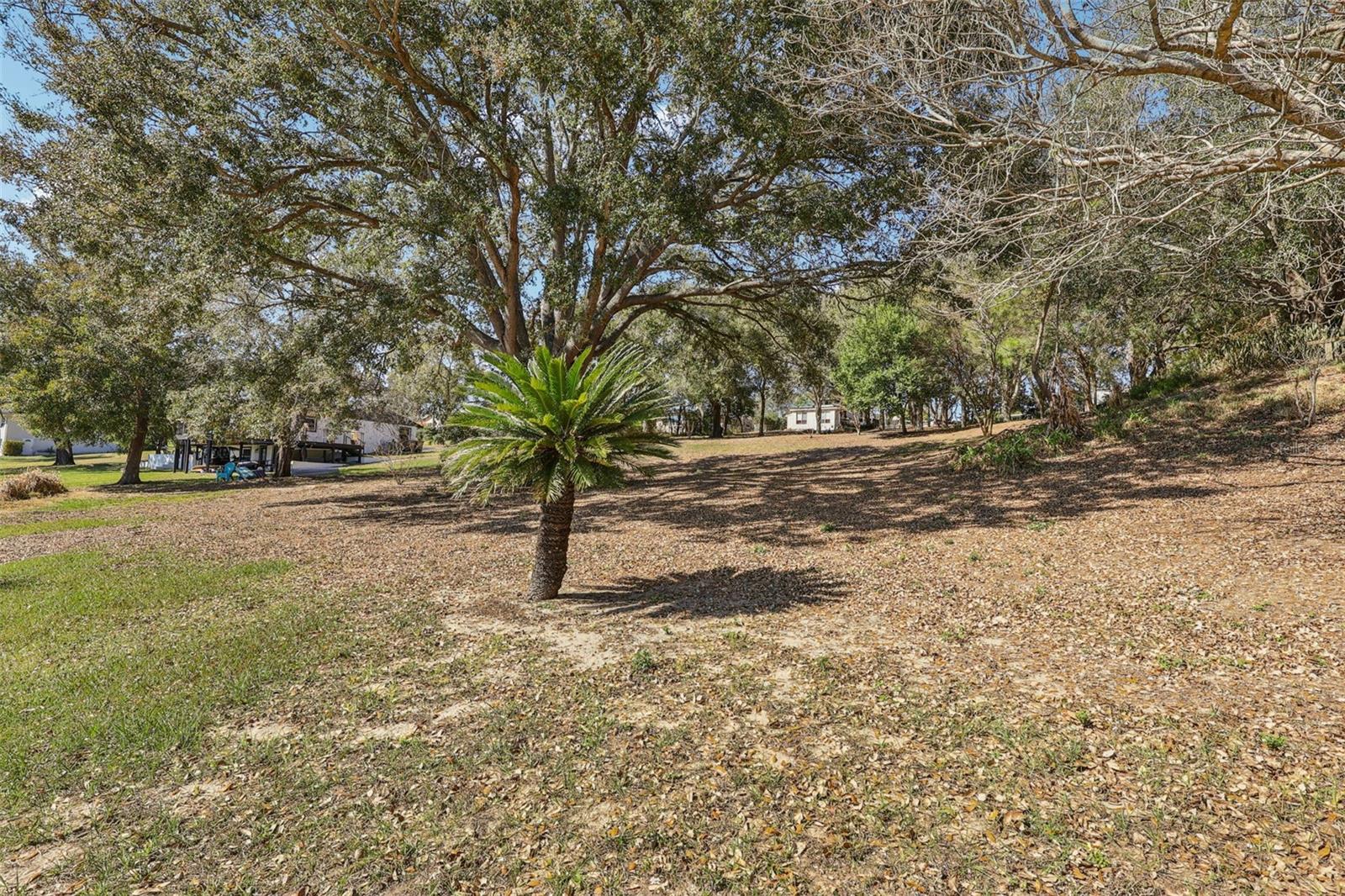 EUSTIS BELMONT HEIGHTS - Land