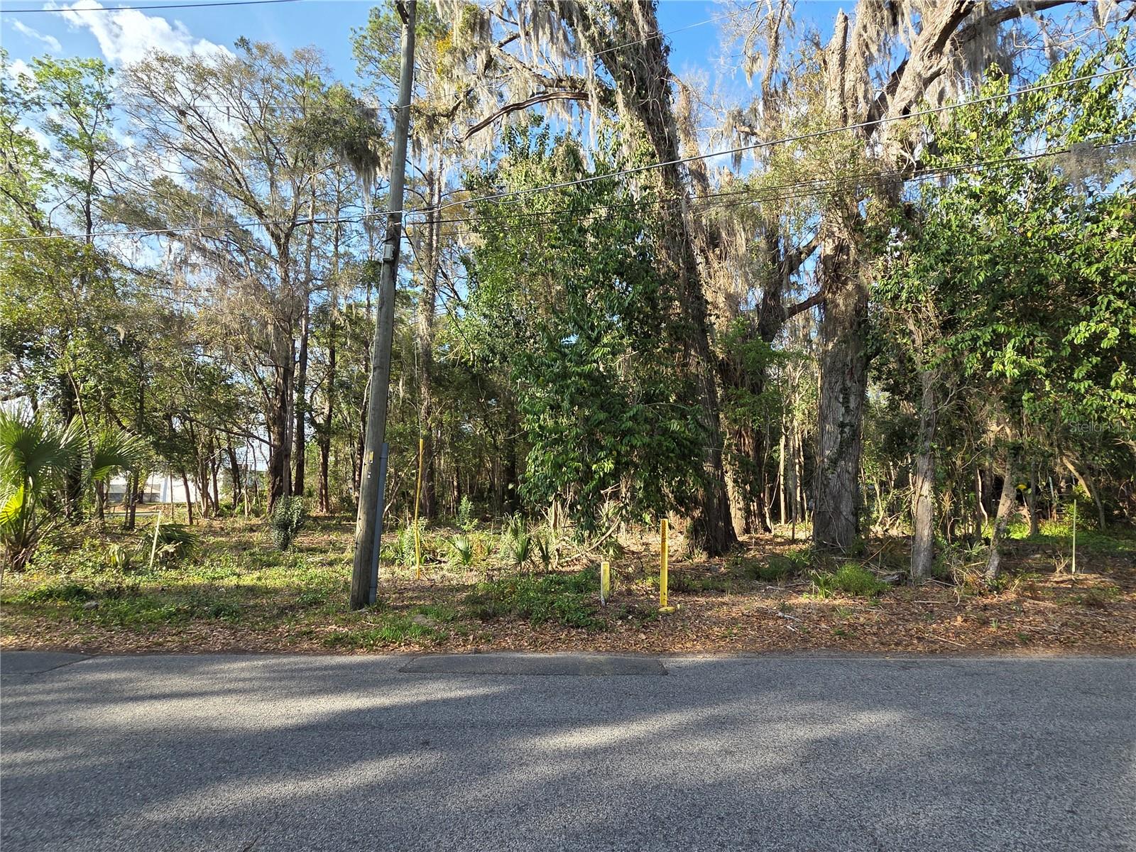 Build an income-producing property AND the home of your dreams in one of Gainesville’s most beloved neighborhoods! This is Parcel 2 of three available lots at the corner of NE 2nd Street and 13th Avenue.
Set on the edge of the Northeast Historic District, affectionately known as the Duckpond Neighborhood, this U3-zoned lot offers excellent potential for residential development, including a single-family home with the option for up to two ADUs (1 attached and 1 detached accessory dwelling units,) ideal for homeowners, builders, or investors. Public utilities are easily accessible.
Enjoy a prime location adjacent to Tom Petty Park, convenient to schools, shopping, restaurants, entertainment, and the area’s abundant recreation facilities and natural resources, all less than  a 10 minute drive to the University of Florida and major hospitals. A rare opportunity to create something special in one of Gainesville’s most historic and desirable neighborhoods. Seller financing may be considered.
This listing is one of 3 adjacent parcels, 10056-001-001, 10056-001-002, 10056-001-003. These can be sold as a package or individually. The individual parcel MLS numbers are GC538302 (Parcel 1,) GC538538 (Parcel 2,) GC538541 (Parcel 3,) and the package of all three parcels is (GC538279.)