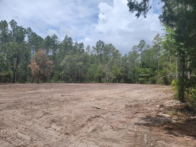 FLAGLER ESTATES - Land