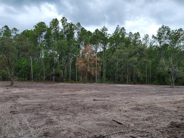 FLAGLER ESTATES - Land