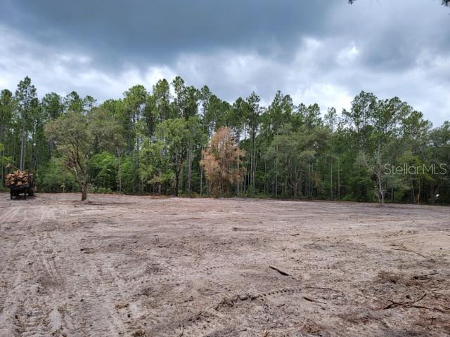FLAGLER ESTATES - Land