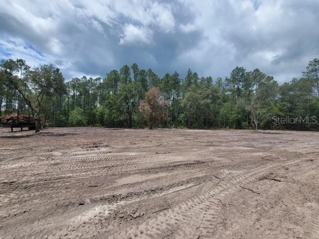 FLAGLER ESTATES - Land