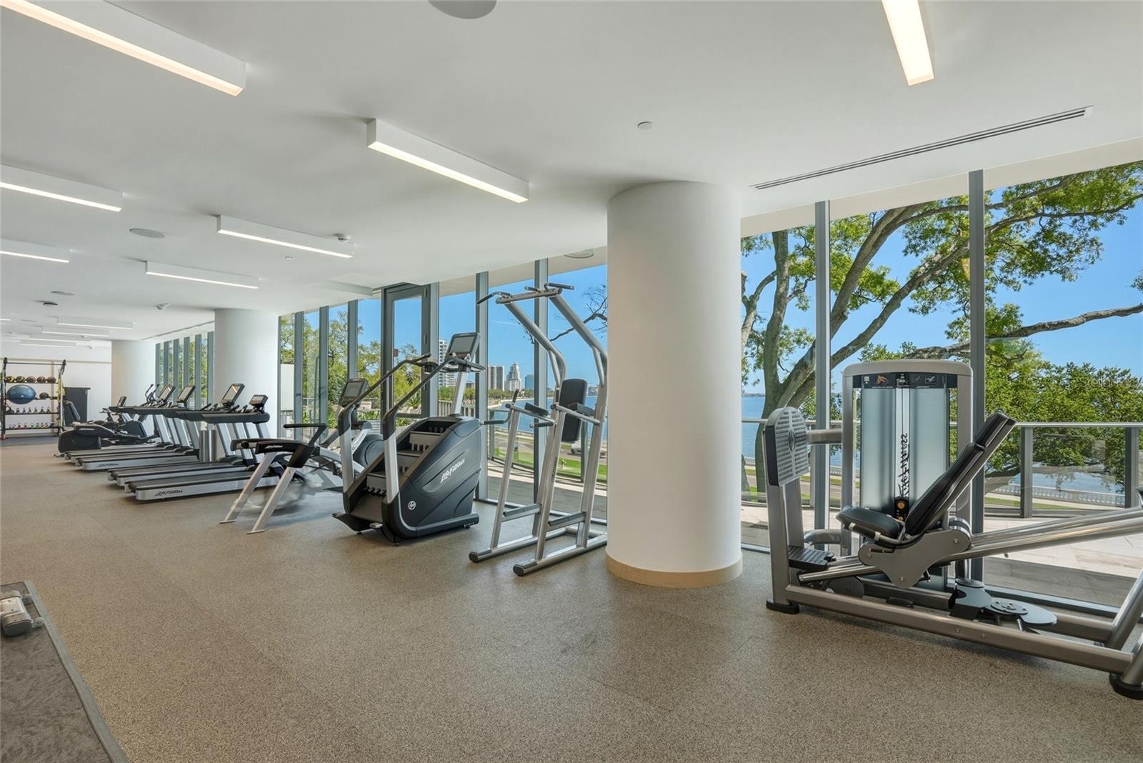 RITZ CARLTON RESIDENCES - Residential