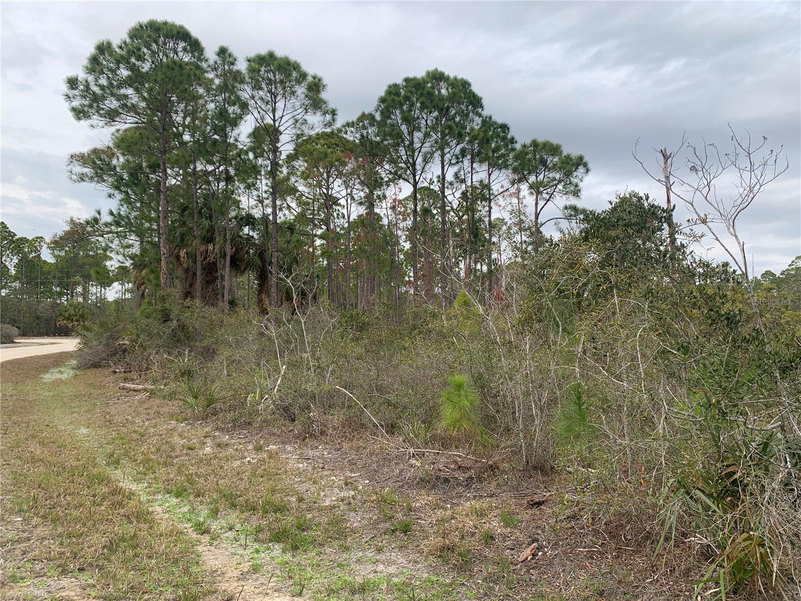 Old Florida living at its finest. Nearly 1 acre parcel available in Cedar Key Plantation. Buildable home site, approximately 3 mins from Downtown Cedar Key. Perfect place to build your home, modular homes are allowed, All homes must be on stilts. 3 Month minimum rental restriction. Call to set up a showing or to learn more information.