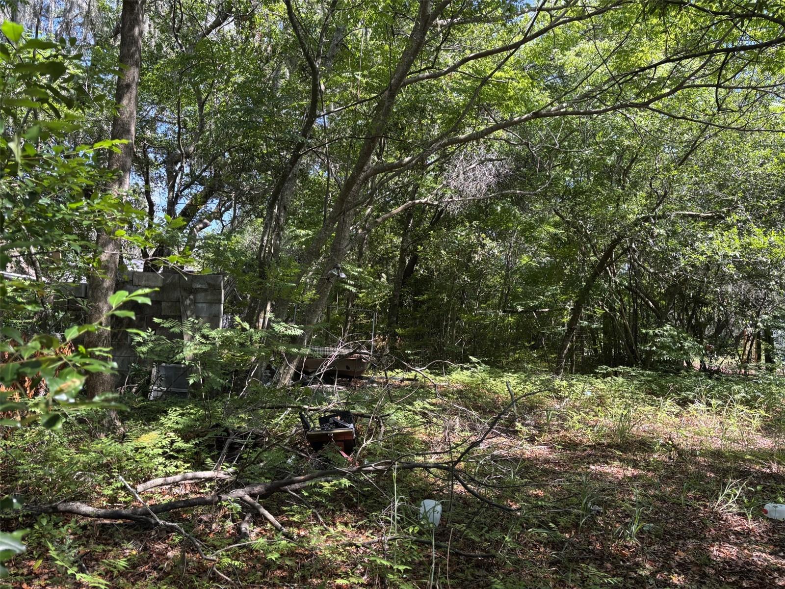 MOON LAKE ESTATES - Residential