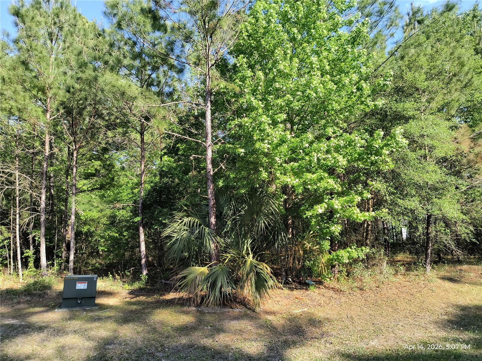Welcome to The Village at Hidden Lakes...a beautiful and serene, gated community in NW Marion County.  This is 2.09 acre parcel ready for your new build.  Peaceful setting for your mini farm or private estate.  Horse friendly community with well maintained private roads.  Located near Ocala, Williston and Gainseville.  Also only about 20 min to the World Equestrian Center.  Bring your own building and build the home of your dreams.  Please call us for your showing.