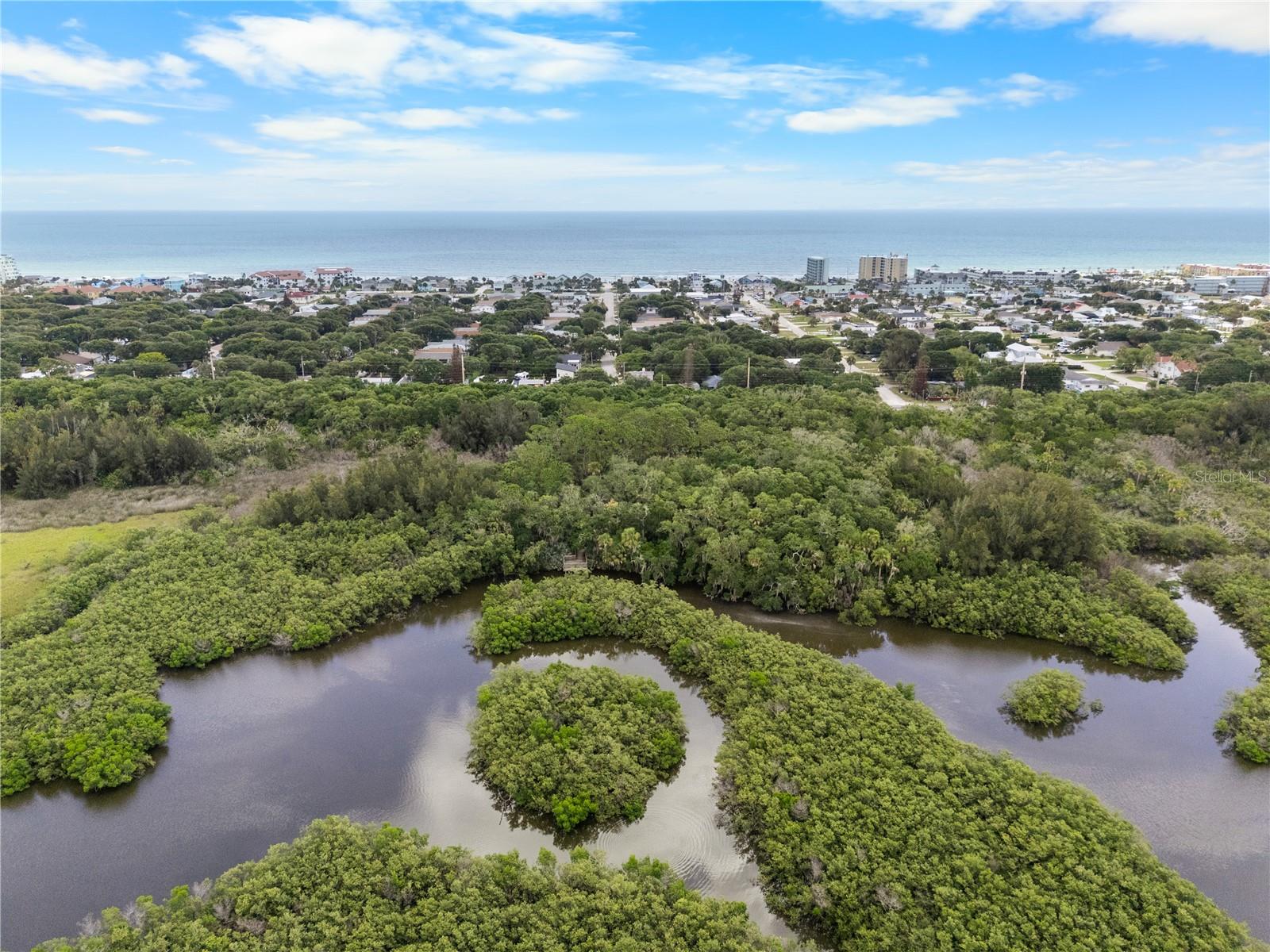 NEW SMYRNA BEACH - Residential