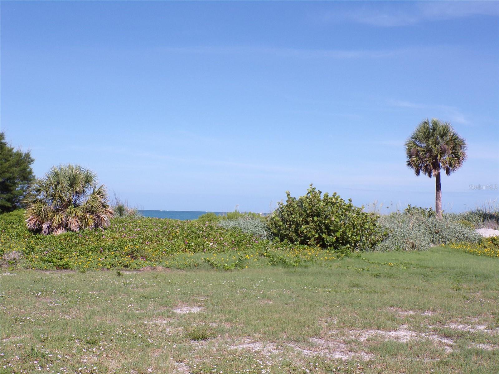 VENICE ISLAND NW OF DOWNTOWN W-622000 - Residential