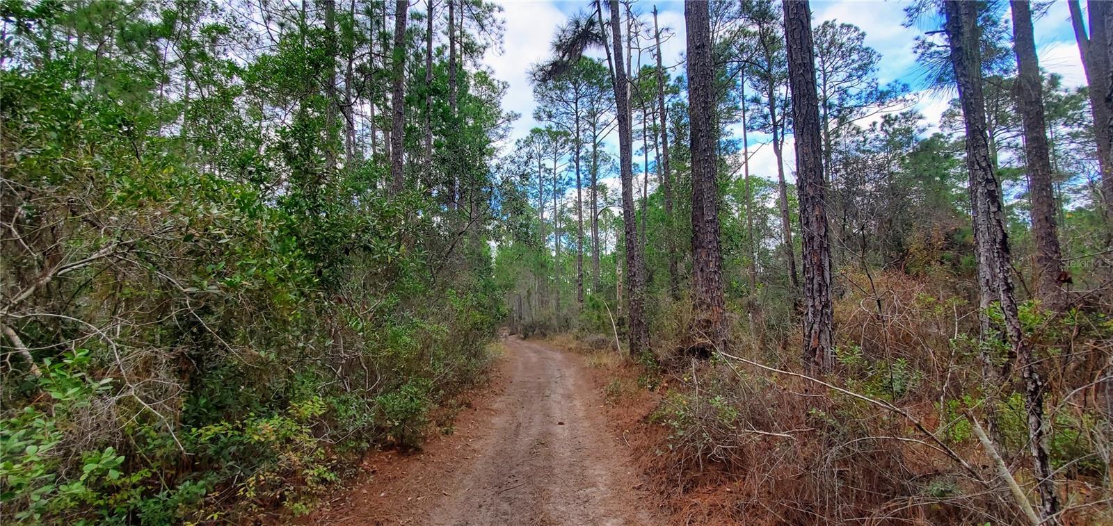 Discover the potential of this 0.45-acre lot in Daytona Park Estates, an excellent opportunity for future development, long-term investment, or creating your own private enchanted hideaway. This NO HOA community offers the freedom to build your dream home or enjoy outdoor activities like ATVs and motorbikes. Conveniently located less than 40 miles from Daytona Beach and about 4 miles from Stetson University.