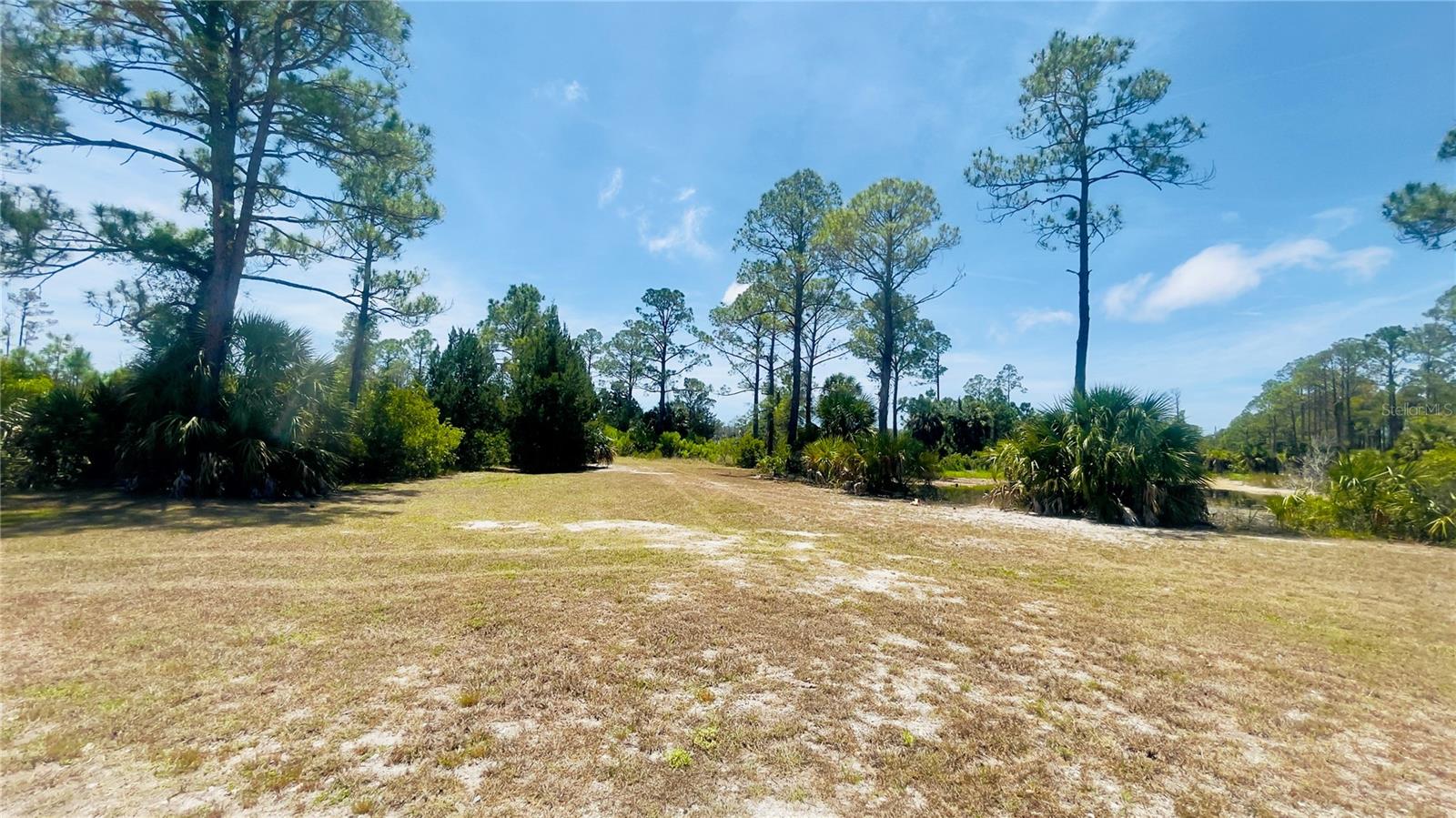 Enjoy your own little piece of Florida nature on just minutes away from the gulf coast in Cedar Key. This property consists of six continuous parcels. Buyers must confirm if any portion of this property is buildable.