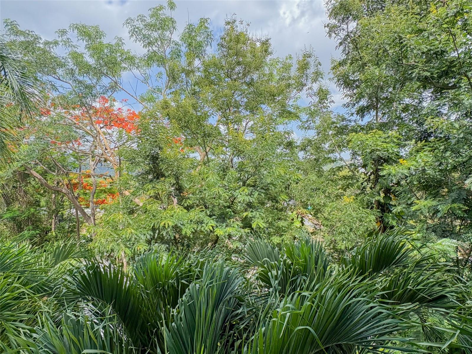 HILLSVIEW PLAZA - Residential