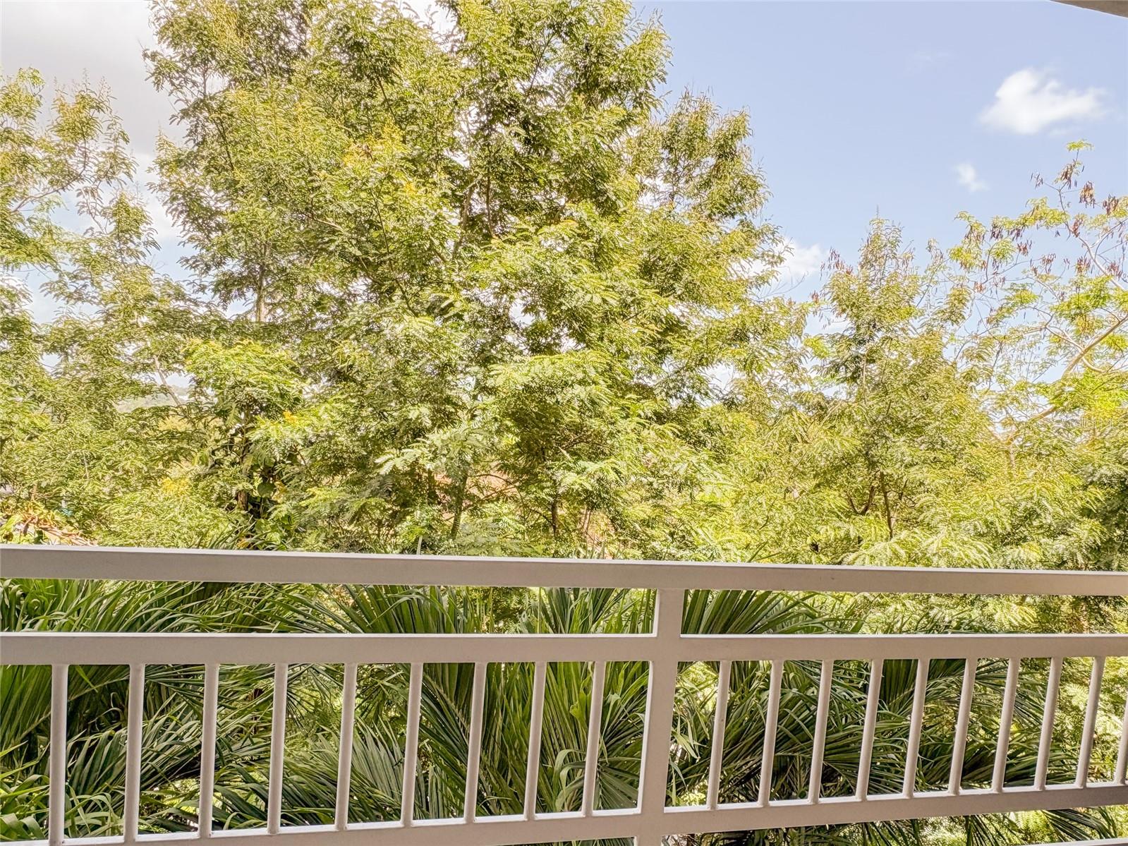 HILLSVIEW PLAZA - Residential