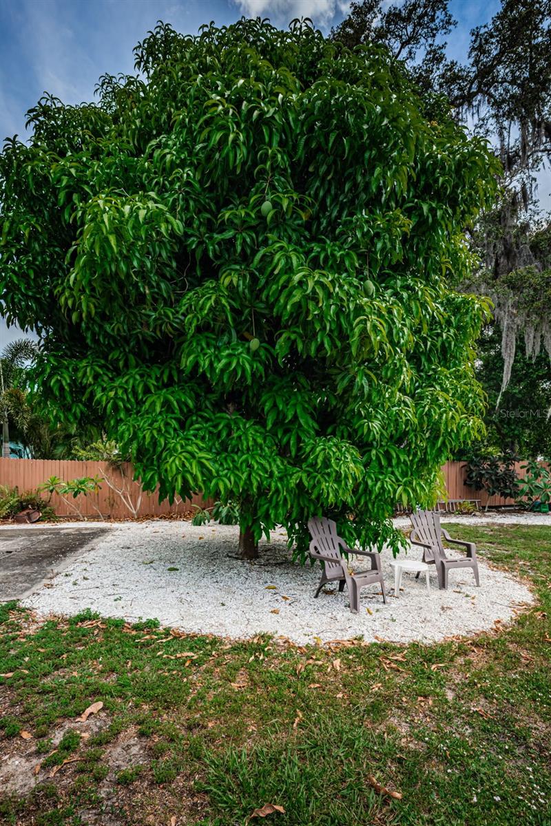 CRYSTAL BEACH REV - Residential