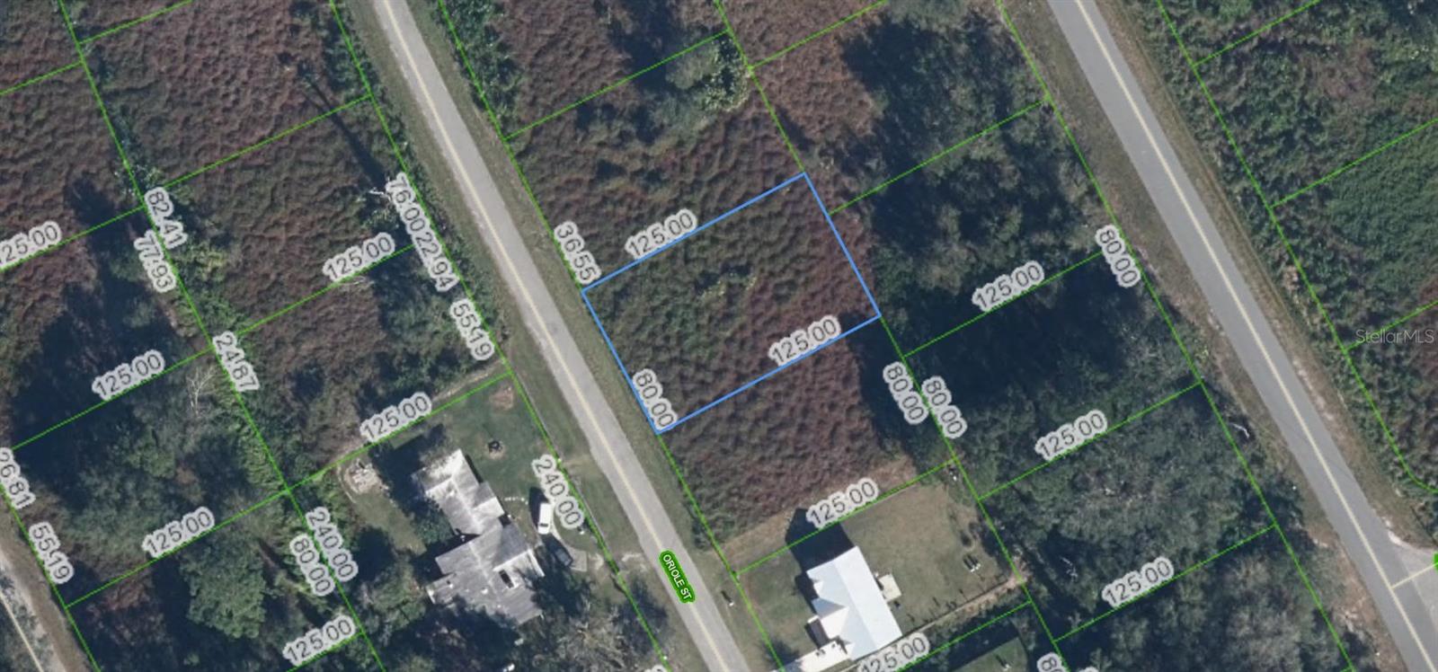 A VACANT LOT IN LAKE PLACID IN HIGHLANDS COUNTY!!!