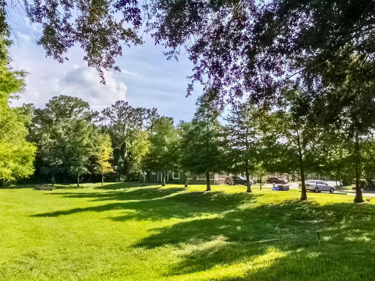RESERVE AT LOCH LAKE - Residential