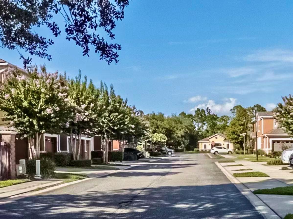 RESERVE AT LOCH LAKE - Residential