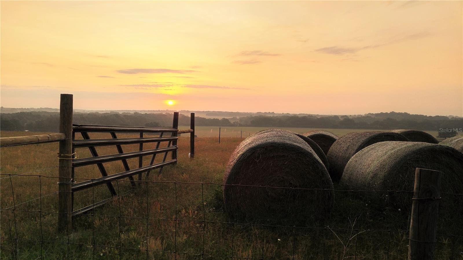 WHEELER FARMS - Land