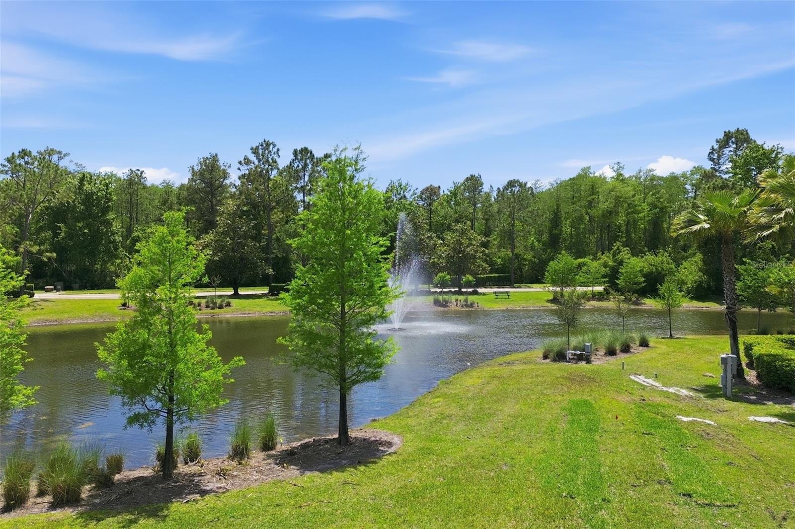 ESTATES AT SUMMER LAKES CYPRESS - Residential