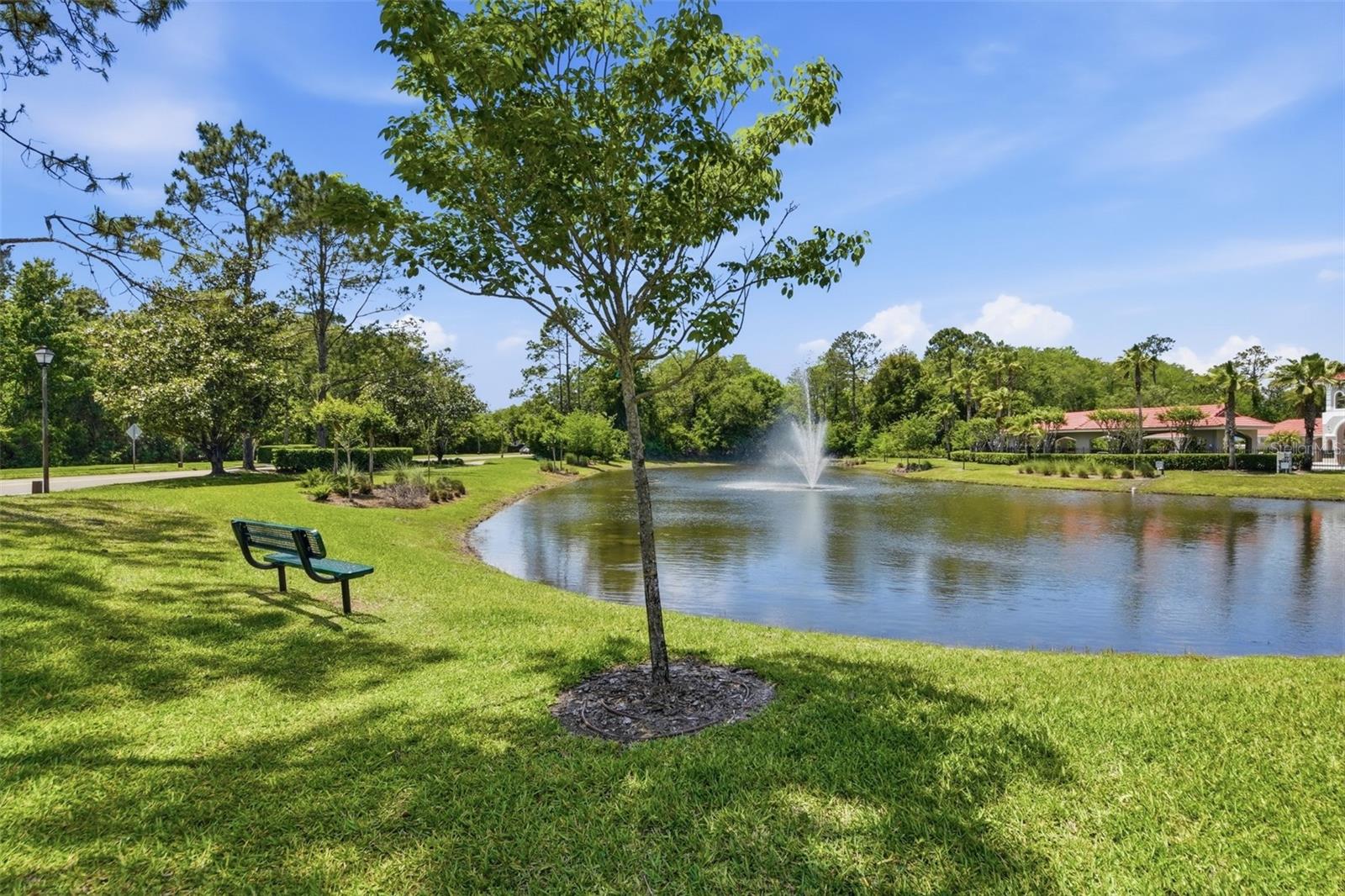 ESTATES AT SUMMER LAKES CYPRESS - Residential