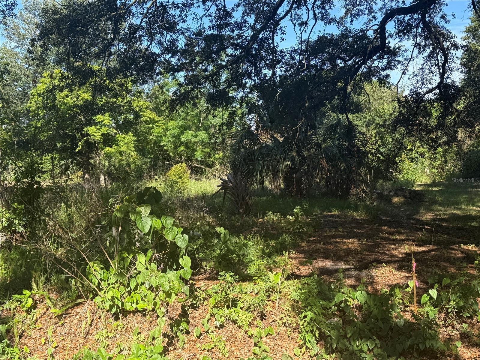 Looking for the perfect spot to build your dream home or put your mobile home? Look no further than this gorgeous vacant lot in Winter Haven, Florida! Measuring 0.16 acres, this prime piece of real estate is situated just a stone's throw from Westwood Middle School, making it the ideal location for families or anyone looking to enjoy easy access to excellent schools. With plenty of space to stretch out and a location that can't be beat. PROPERTY ALREADY HAS A SEPTIC TANK AND WELL. Don't miss your chance to make your dreams a reality