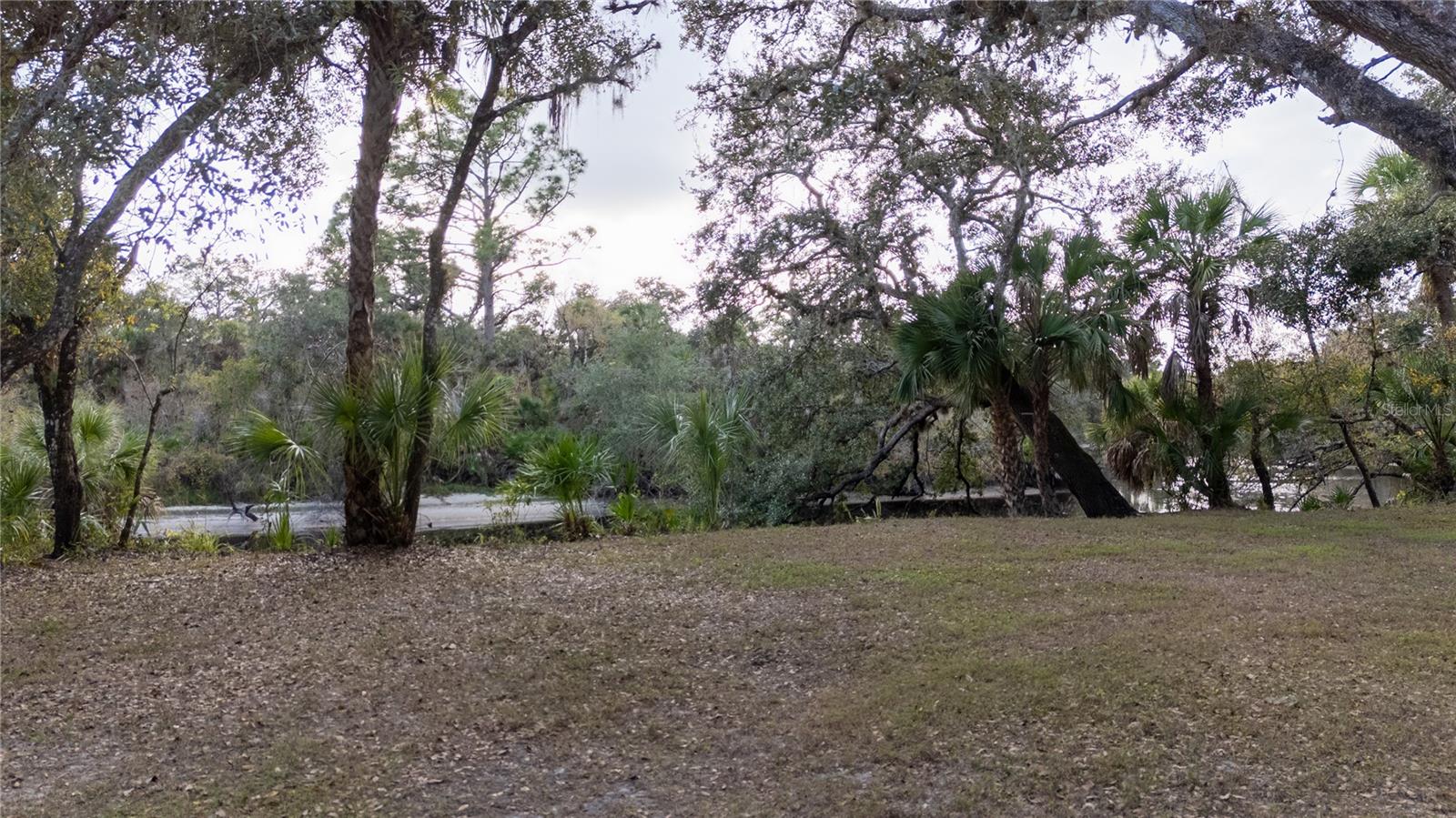 NORTH VENICE FARMS AND EVERGLA-667100 - Residential