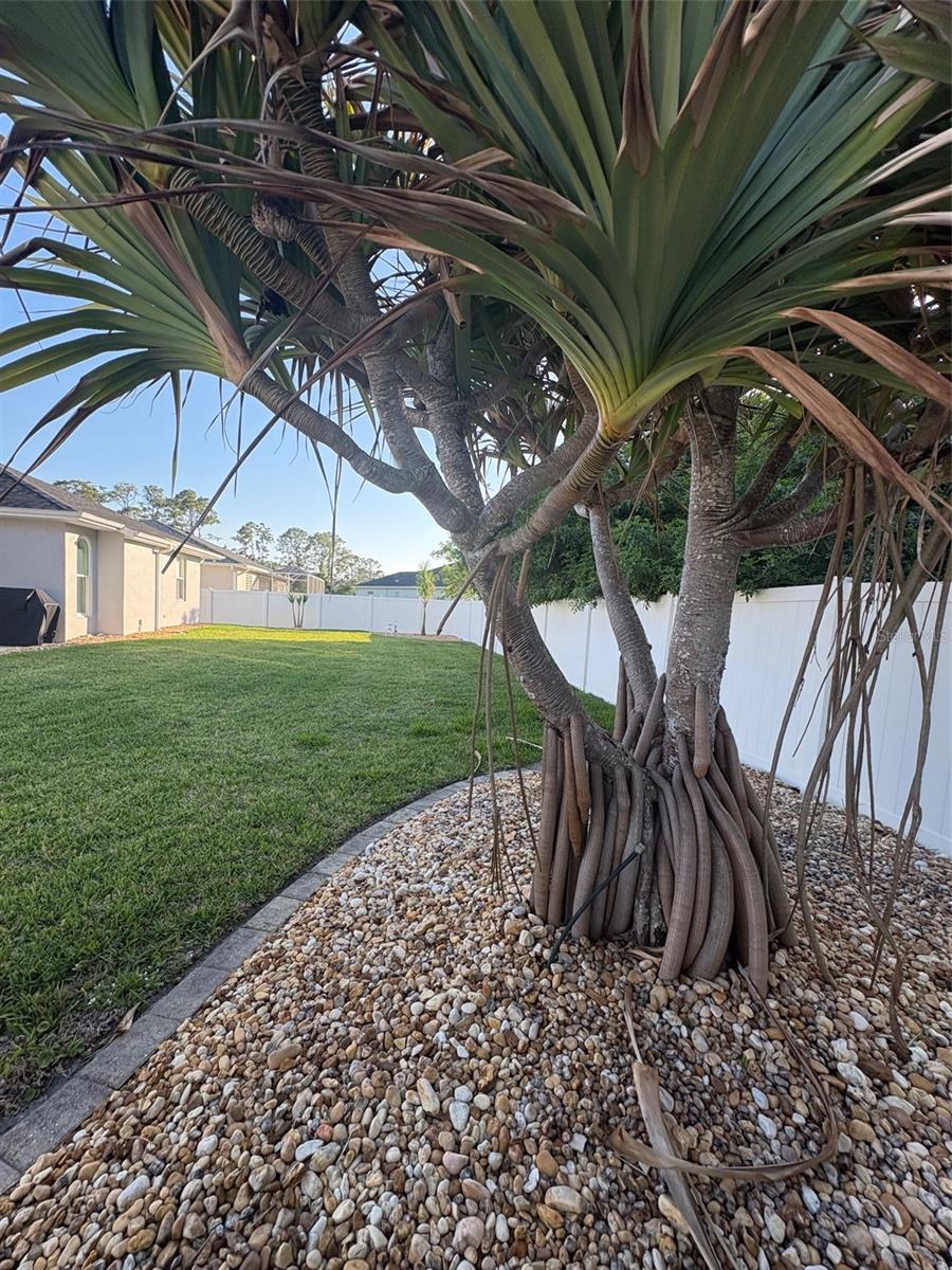 PORT CHARLOTTE SUB 19 - Residential