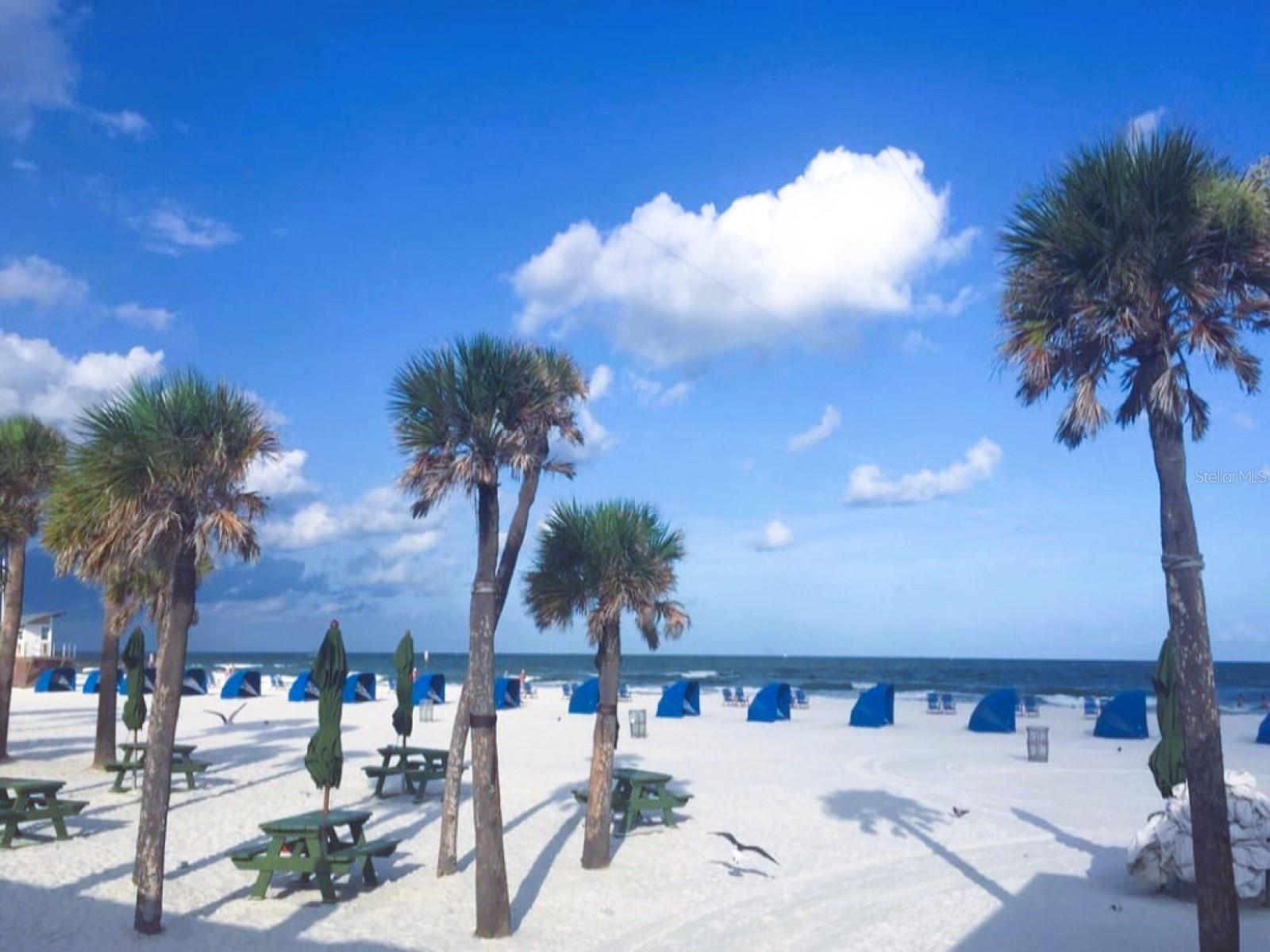 VILLAS OF BEACON GROVES - Residential Lease