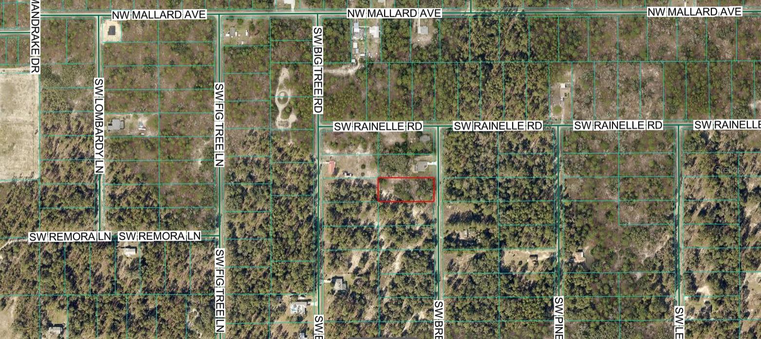 Build your dream home on this beautiful 1-acre buildable lot located in the growing community of Rainbow Lakes Estates, surrounded by both new construction and established homes. No HOA! Enjoy the perfect blend of peaceful country living and convenient access to Dunnellon, Ocala, and Crystal River.

You're just minutes from the crystal-clear waters of Rainbow River and Rainbow Springs State Park. Outdoor enthusiasts will love nearby Lake Rousseau, known for some of Florida's best fishing, as well as the Withlacoochee State Trail, offering miles of hiking, biking, and horseback riding.

Experience the tranquility of country living while remaining close to shopping, dining, medical facilities, and everyday conveniences. Don't miss this opportunity to own a spacious homesite in a desirable location—bring your builder and start planning your Florida dream home today!