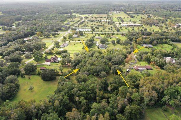 Spruce Creek Farms Unit 01-02 - Land