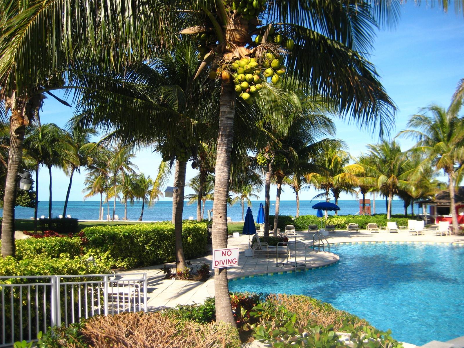 BAHAMA BAY A CONDO - Residential
