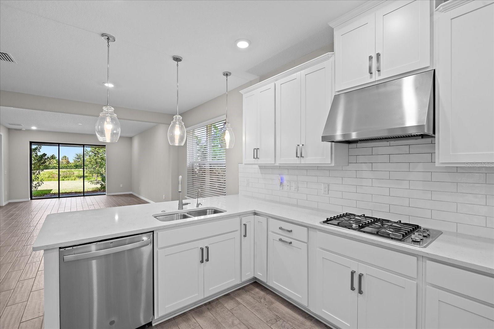 SKYE RANCH NBRHD 4 NORTH PH 1 - Residential