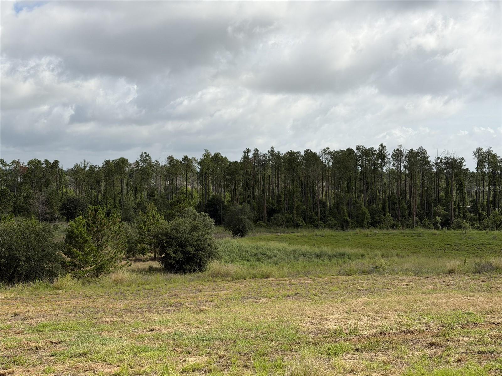 BELLA COLLINA HILLTOP - Land