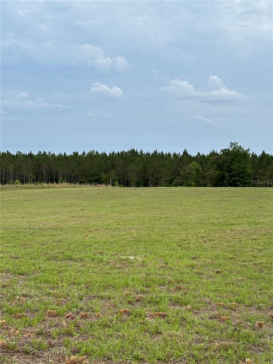 CATES ROAD SUB - Land